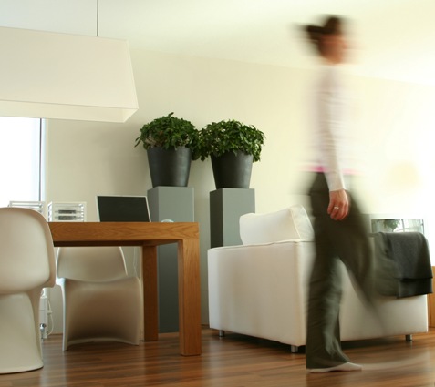 casainterno casainterno