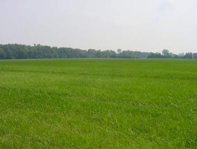 Quotazioni terreni agricoli inea